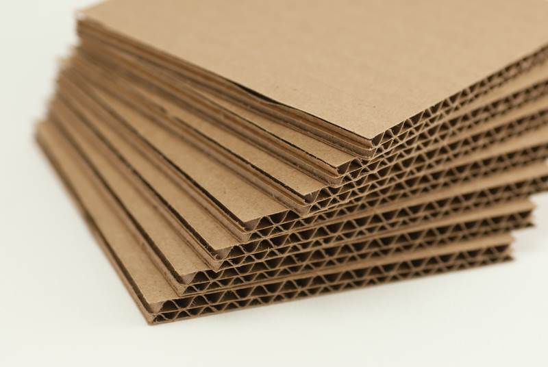 Picture1 Medium Paper